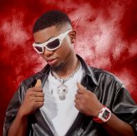 Zealee vibe 
